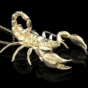 Bronze Scorpion Pendant Necklace, Scorpion Jewelry, Zodiac Scorpion, Desert Charm, Scorpion Charm Jewelry, Animal Jewelry, Pendant Only