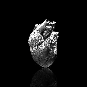 Steling Silver Anatomical Heart Lapel Pin Human Heart Brooch Medical and Anatomy Pins for Doctors and Nurses Hospital Pins Suit Accessories