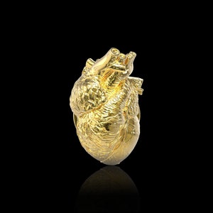 18K Gold Plated Anatomical Heart Lapel Pin Human Heart Brooch Medical and Anatomy Pins for Doctors and Nurses Hospital Pins Suit Accessories