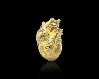 18K Gold Plated Anatomical Heart Lapel Pin Human Heart Brooch Medical and Anatomy Pins for Doctors and Nurses Hospital Pins Suit Accessories