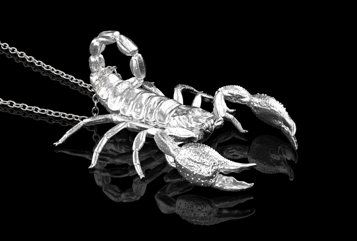 Sterling Silver Scorpion Pendant Necklace Scorpion Jewelry Etsy