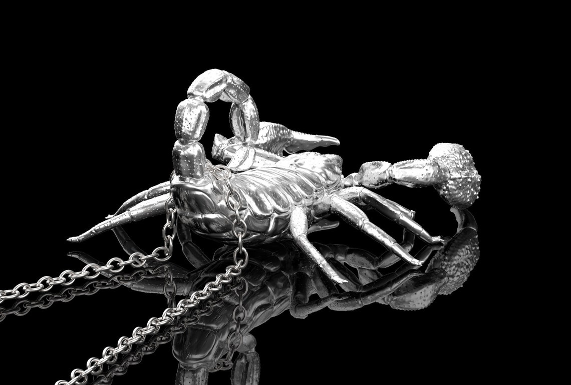 Sterling Silver Scorpion Pendant Necklace Scorpion Jewelry Etsy