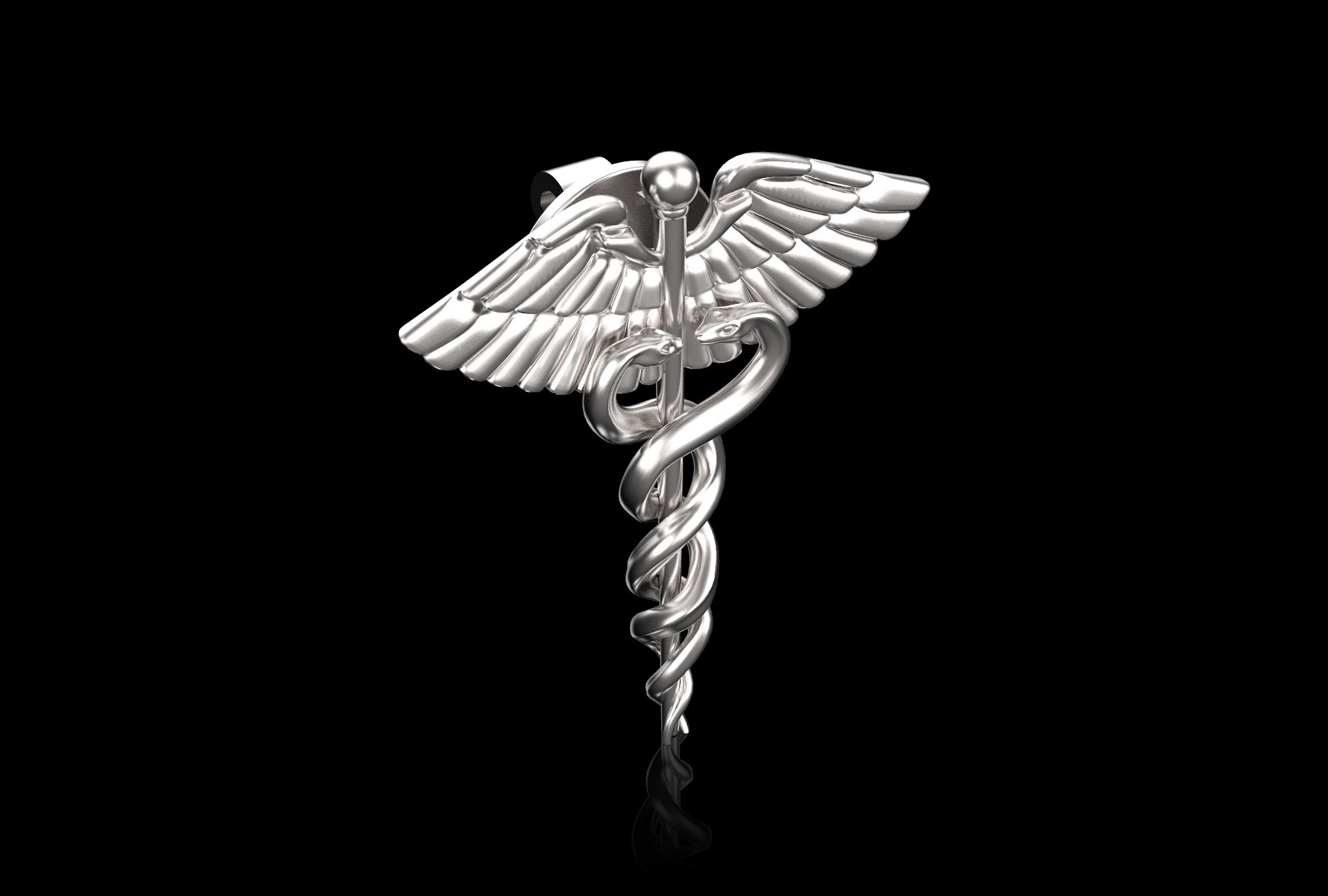Sterling Silver Caduceus Lapel Pin, Pharmacy Brooch, Gift for Doctor ...