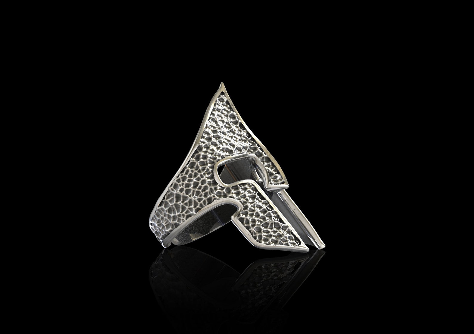 • SPARTAN • turquoise + silver ring