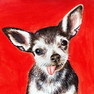 K&ouml;nnte beinhalten: Ein Aquarellbild eines kleinen, schwarz-wei&szlig;en Chihuahuas mit braunen Augen und einer rosa Zunge, die herausstreckt. Der Hund schaut direkt auf den Betrachter und hat einen verspielten Ausdruck. Der Hintergrund ist einfarbig rot.