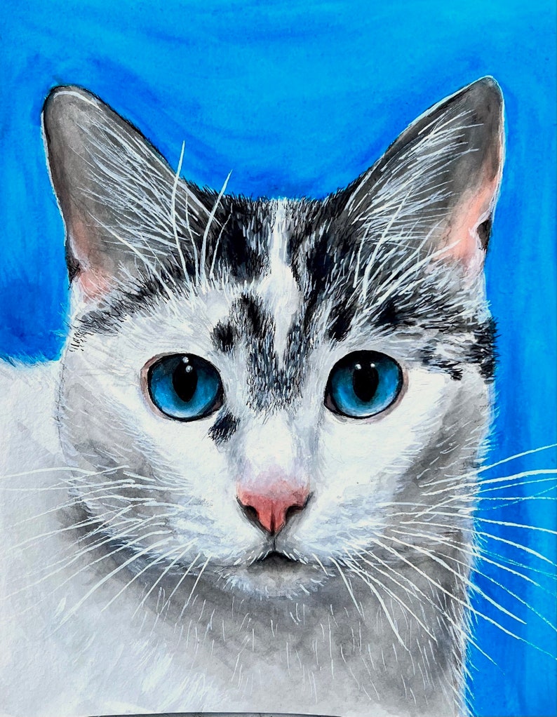 K&ouml;nnte beinhalten: Nahaufnahme eines wei&szlig;en Katers mit schwarzen und grauen Flecken. Die Katze hat leuchtend blaue Augen und eine rosa Nase. Der Hintergrund ist einfarbig blau.