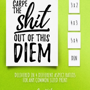 Digitaldruck Carpe Diem Nutze Tag motivierende Poster Carpe Diem druckbare Wohnkultur Wall Art Carpe die Scheiße aus dieser Diem-Druck image 2