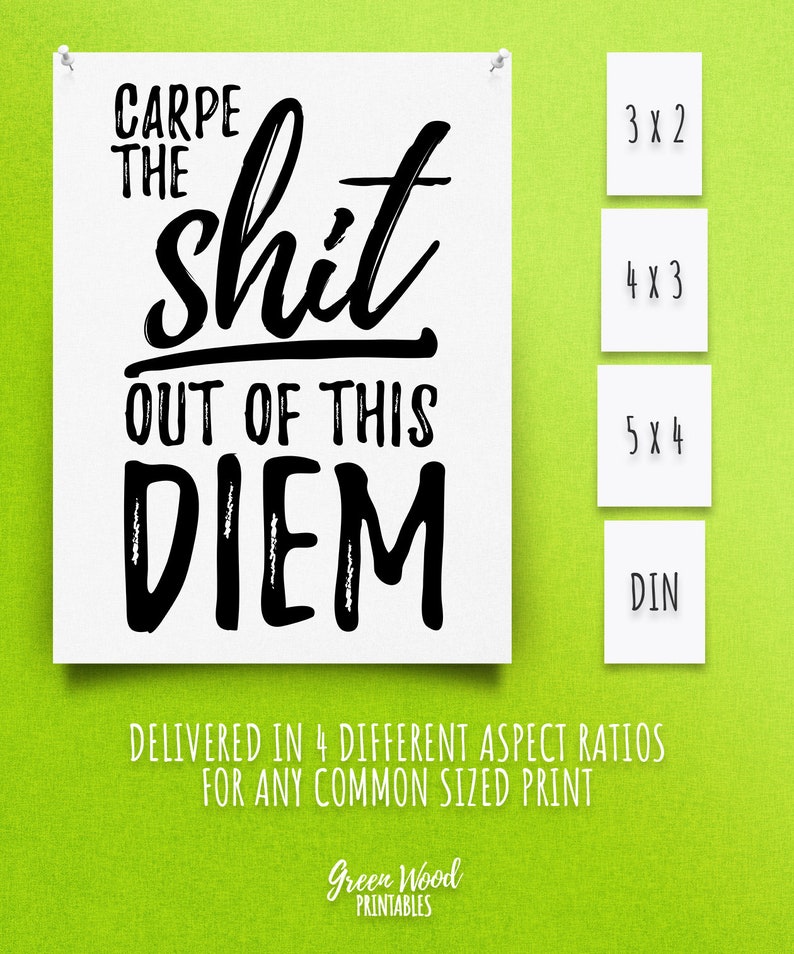Digitaldruck Carpe Diem Nutze Tag motivierende Poster Carpe Diem druckbare Wohnkultur Wall Art Carpe die Scheiße aus dieser Diem-Druck image 2