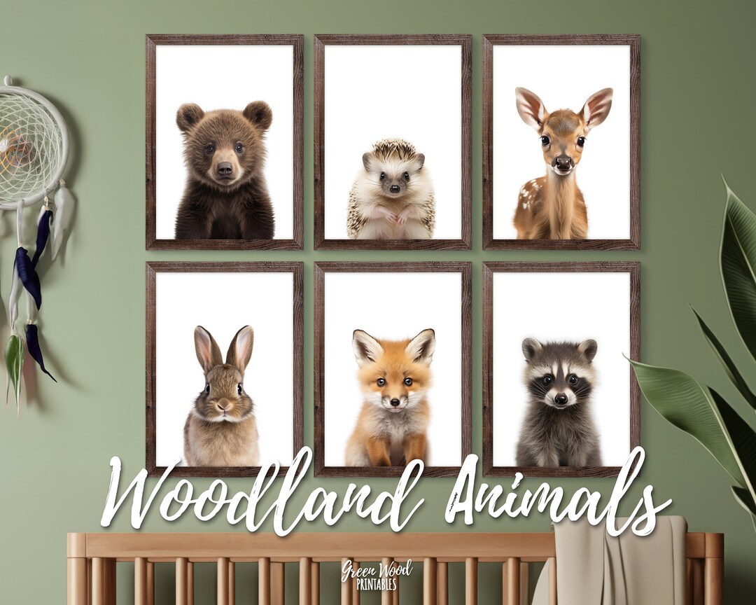 Woodland Print Set of 6 Nursery Prints, Woodland Baby Shower ...