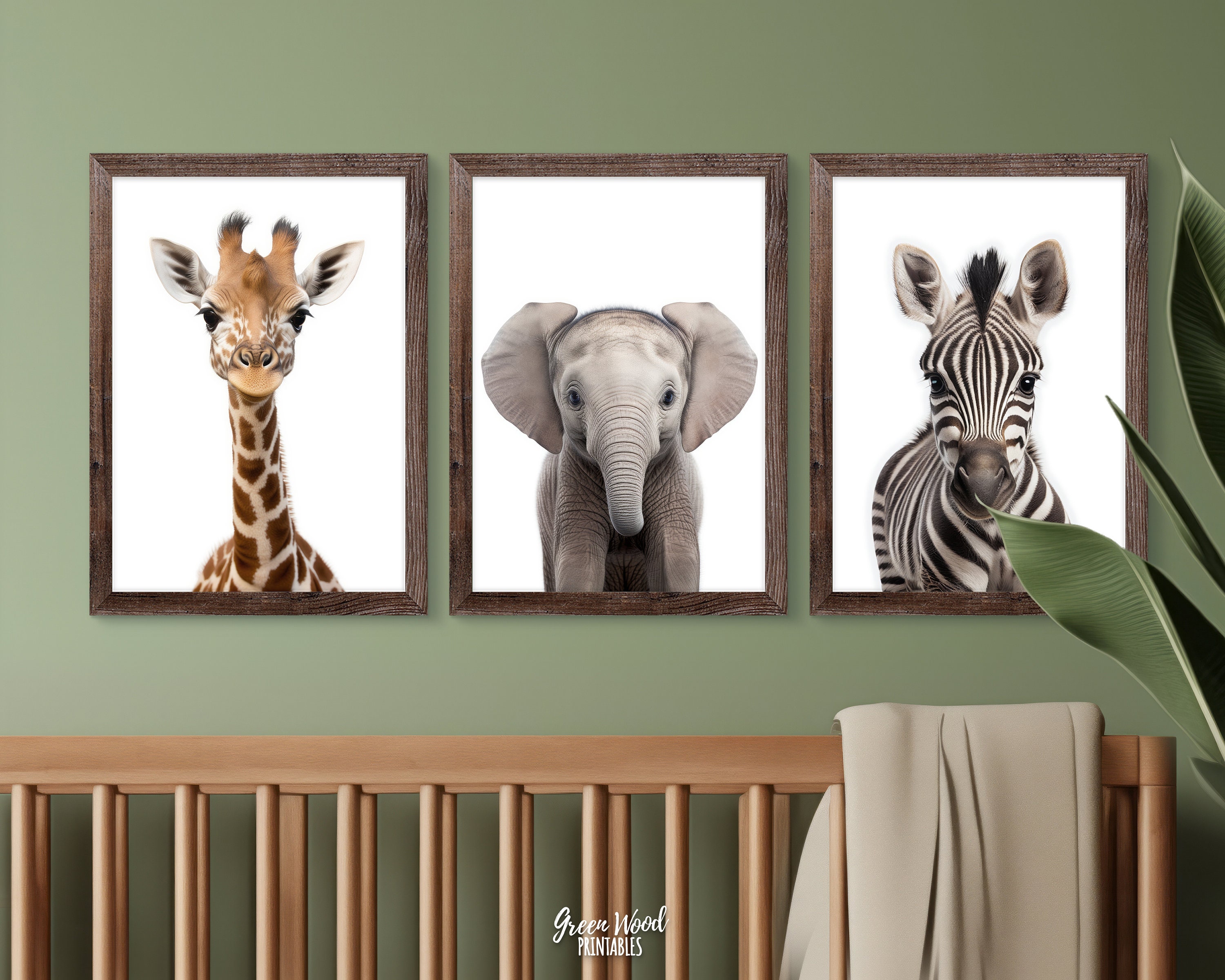 Safari Animal Set of 3 Nursery Prints, Safari Baby Shower Decoration ...