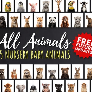 All-in-one Set Tier Kinderzimmer Drucke, Komplettset, Wald Baby Shower Dekoration, Safari Dekoration, Digital Download Poster Wandkunst