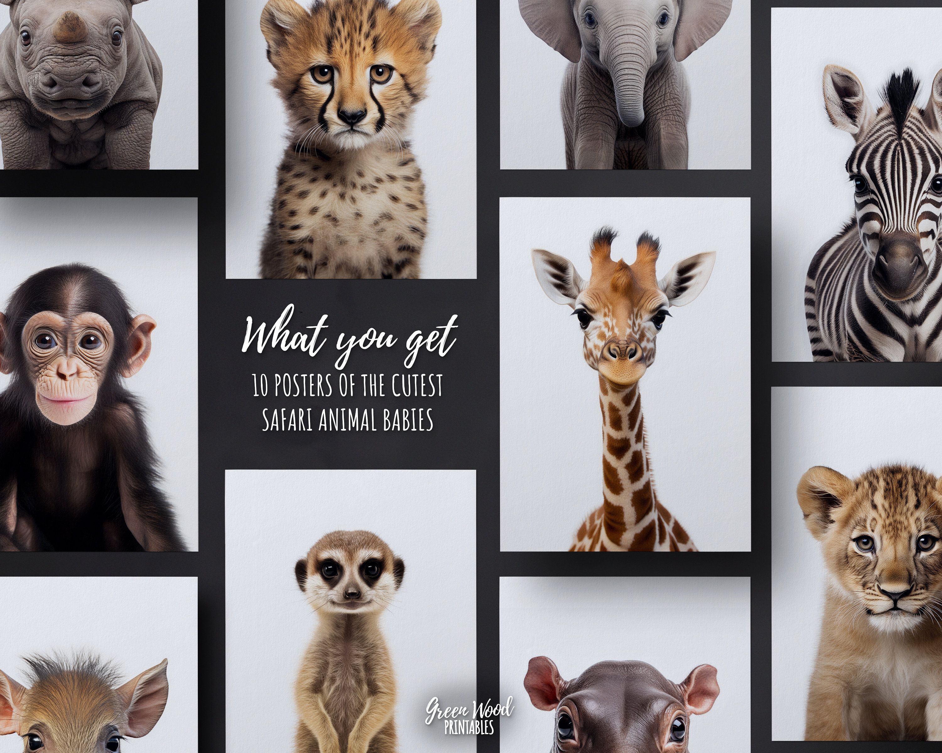 Printable Baby Animal Prints for Nursery, Safari Decoration Bundle