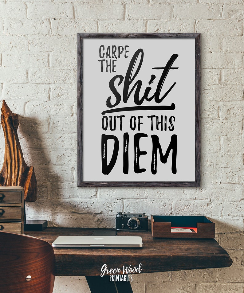Digitaldruck Carpe Diem Nutze Tag motivierende Poster Carpe Diem druckbare Wohnkultur Wall Art Carpe die Scheiße aus dieser Diem-Druck image 5