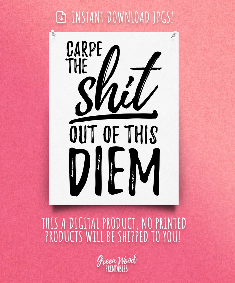 Digitaldruck Carpe Diem Nutze Tag motivierende Poster Carpe Diem druckbare Wohnkultur Wall Art Carpe die Scheiße aus dieser Diem-Druck image 3