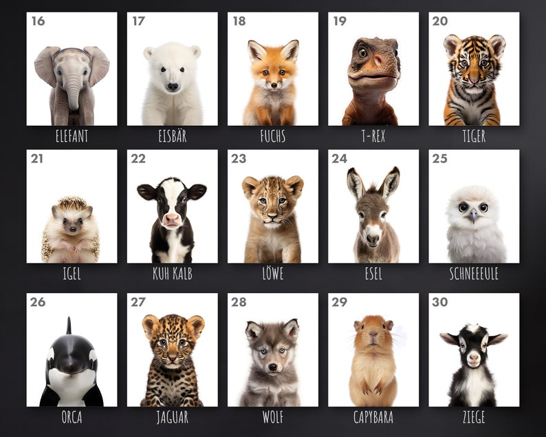 May include: A collage of 15 images featuring baby animals, including an elephant, polar bear, fox, T-Rex, tiger, hedgehog, calf, lion, donkey, snowy owl, orca, jaguar, wolf, capybara, and goat.