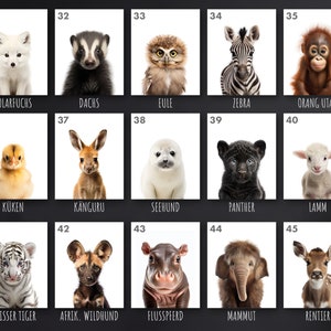 May include: A grid of 15 images featuring baby animals, each with a number and German name below. The animals include a polar fox, badger, owl, zebra, orangutan, chick, kangaroo, seal, panther, lamb, white tiger, African wild dog, hippopotamus, mammoth, and reindeer.