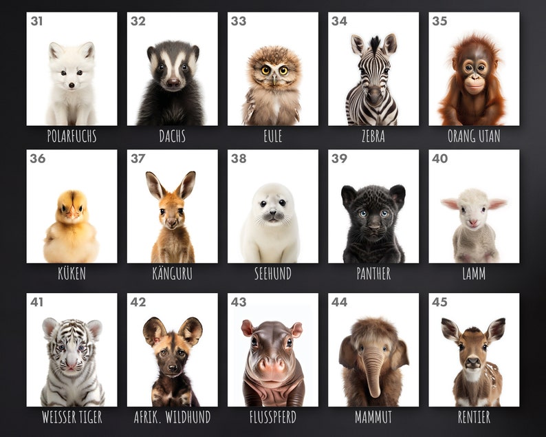 May include: A grid of 15 images featuring baby animals, each with a number and German name below. The animals include a polar fox, badger, owl, zebra, orangutan, chick, kangaroo, seal, panther, lamb, white tiger, African wild dog, hippopotamus, mammoth, and reindeer.