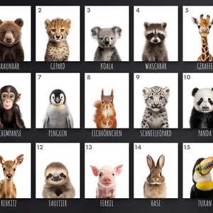 May include: A collage of 15 images featuring baby animals, each with a number and a German name underneath. The animals include a brown bear, cheetah, koala, raccoon, giraffe, chimpanzee, penguin, squirrel, snow leopard, panda, fawn, sloth, piglet, rabbit, and toucan.