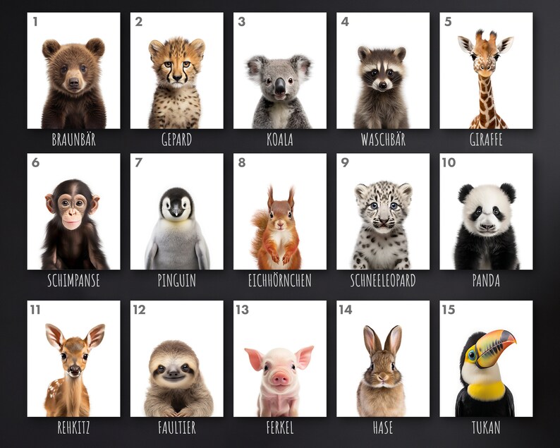 May include: A collage of 15 images featuring baby animals, each with a number and a German name underneath. The animals include a brown bear, cheetah, koala, raccoon, giraffe, chimpanzee, penguin, squirrel, snow leopard, panda, fawn, sloth, piglet, rabbit, and toucan.