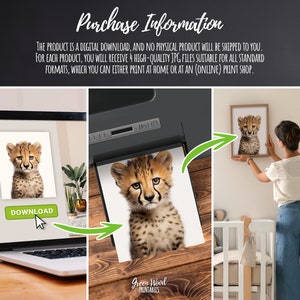 May include: Digital download of a printable image featuring a cute cheetah cub with a light brown and black spotted coat. The image is displayed on a laptop screen with a download button. The image is also shown being printed on a printer and being hung on a wall.