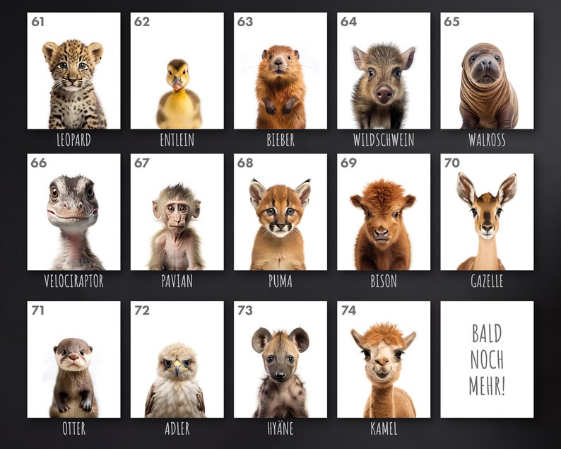 May include: A collection of 15 illustrated animal portraits, each with a number and name underneath. The animals include a leopard, duckling, beaver, wild boar, walrus, velociraptor, monkey, puma, bison, gazelle, otter, eagle, hyena, camel, and a text box that says "Bald Noch Mehr!"