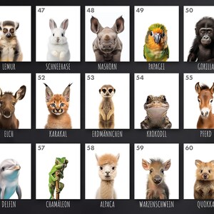 May include: A grid of 15 images featuring baby animals, each with a number and a German word underneath. The animals include a lemur, rabbit, rhinoceros, parrot, gorilla, elk, caracal, meerkat, frog, horse, dolphin, chameleon, alpaca, warthog, and quokka.