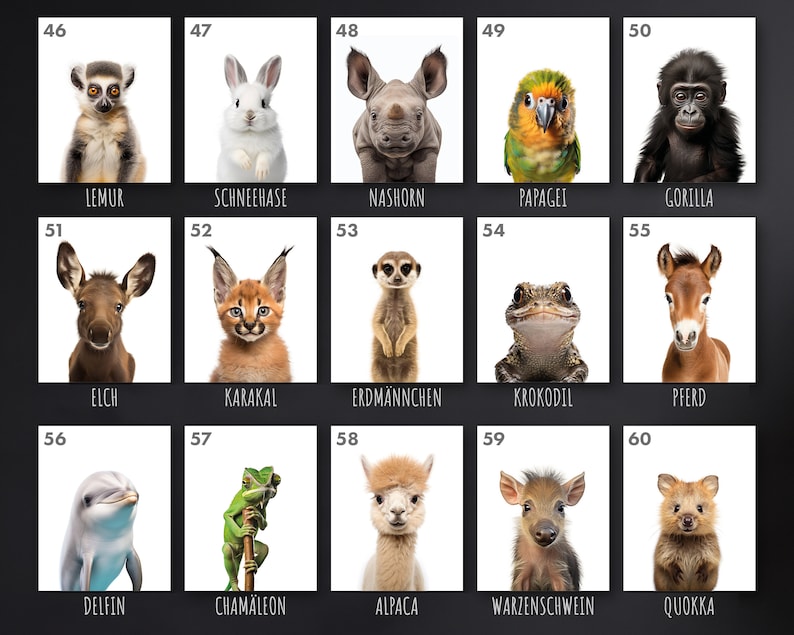 May include: A grid of 15 images featuring baby animals, each with a number and a German word underneath. The animals include a lemur, rabbit, rhinoceros, parrot, gorilla, elk, caracal, meerkat, frog, horse, dolphin, chameleon, alpaca, warthog, and quokka.