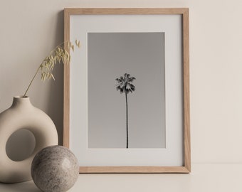 California black & white Palm tree Photography Print – Coastal Wall Art