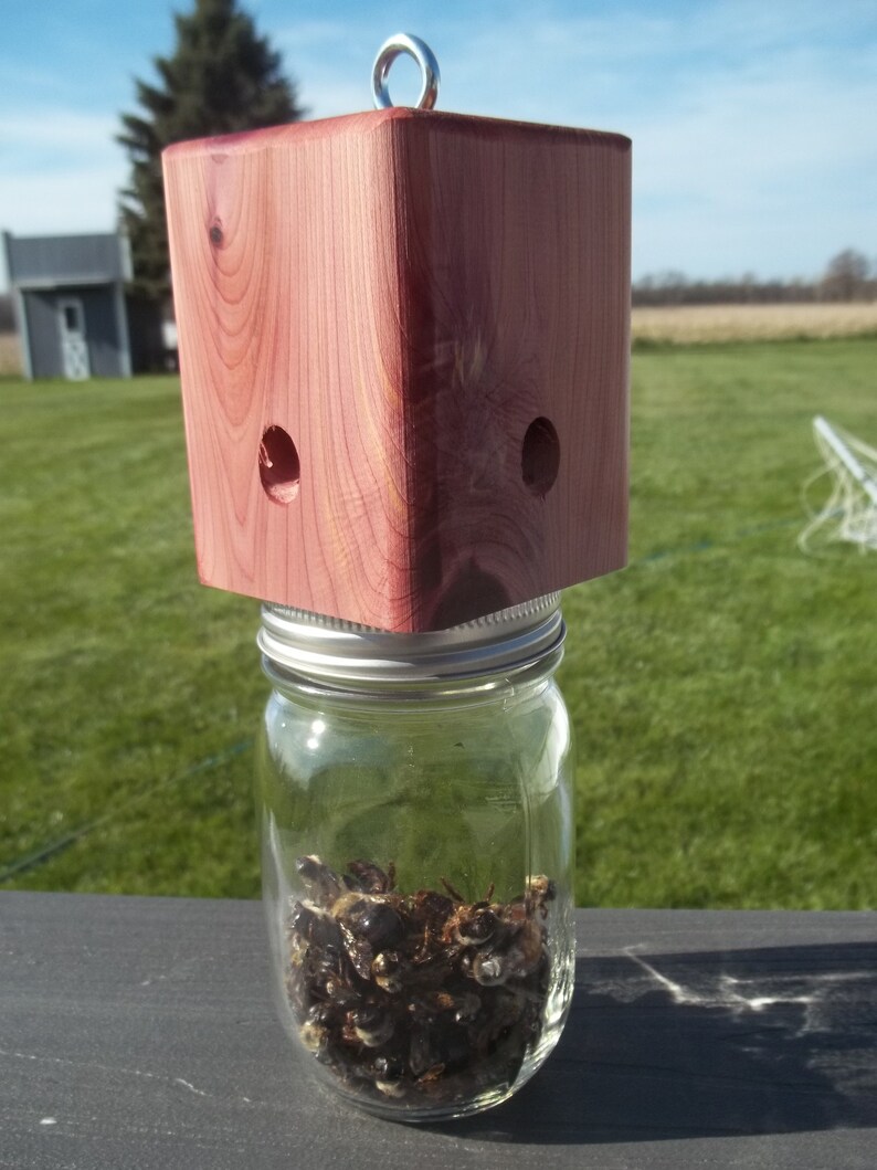 Diy Carpenter Bee Trap 2X4 How To Build A Carpenter Bee Trap 12