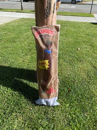 RESTOCKED!!! Backwoods Backwoodie weed plush toy blunt pillow 2.5 ft tall (bag sold separately)