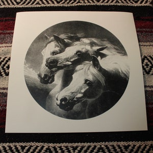 Stunning Print of &quot;The Pharaoh&#39;s Arabian Horses Crossing The Red Sea&quot;