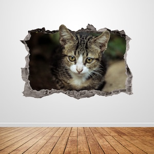 Cute Cat Wall Decal Smashed 3D Graphic Animal Wall Art Sticker Mural Poster Custom Vinyl Home Room Decor Gift