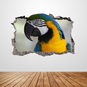 Parrot Wall Decal Smashed 3D Graphic Wild Tropical Bird Animal Wall Art Sticker Mural Poster Custom Vinyl Home Room Decor Gift