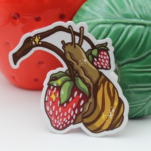 Strawberry snail