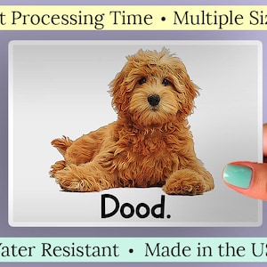 Funny Goldendoodle Dood Sticker.  Cute Golden Retriever Poodle Mix Cartoon Dog Water Resistant Vinyl Decal for Water Bottle, Planner, Agenda