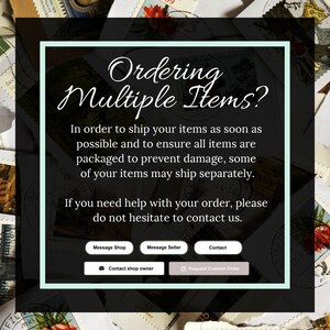 May include: A graphic with a light blue background and white text that reads "Ordering Multiple Items?"  The text explains that items may ship separately to ensure they arrive safely.  There are buttons to contact the shop owner or request a custom order.