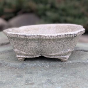 Könnte beinhalten: Ein weißer Keramik-Bonsai-Topf mit Craquelé-Glasur und vier kleinen Füßen. Der Topf ist oval geformt und hat eine breite, flache Öffnung.