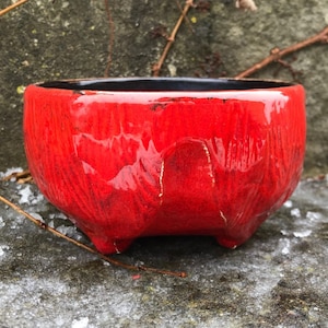 Traditional Japanese tea ceremony bowl, matcha chawan, matcha bowl