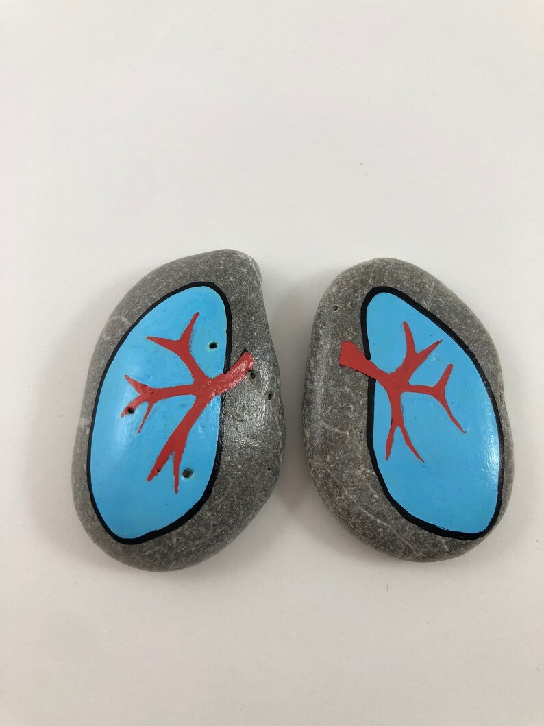 Anatomy Story Stones Set Montessori toy Human body Educational Etsy