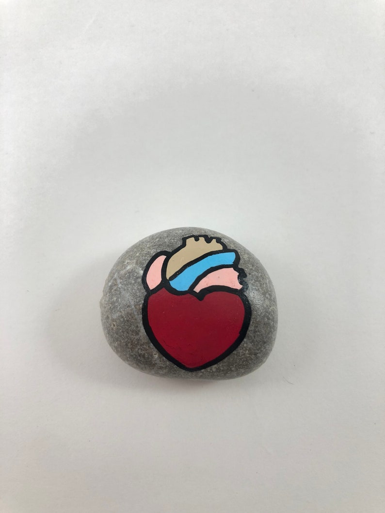 Anatomy Story Stones Set Montessori toy Human body Educational Etsy