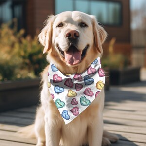 May include: A white dog wearing a bandana with a pattern of colorful candy hearts that say "Pearl" on them.