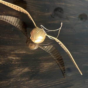 May include: A golden Snitch, a spherical object with wings, from the Harry Potter series. The wings are detailed with a textured pattern, and the sphere has engraved lines. A thin, white wire extends from the sphere.