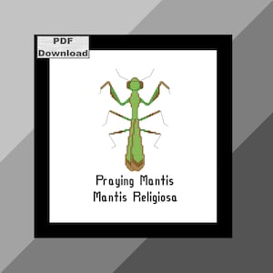 Praying Mantis Cross Stitch Pattern, Instant Download, PDF pattern