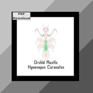 Orchid Mantis Cross Stitch Pattern, Instant Download, PDF pattern