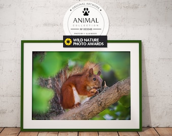 Squirrel Wild Animal Digital Download Wall Art Print Printable Room Large Poster Color Photo Office Decor Living Room Nursery Decor