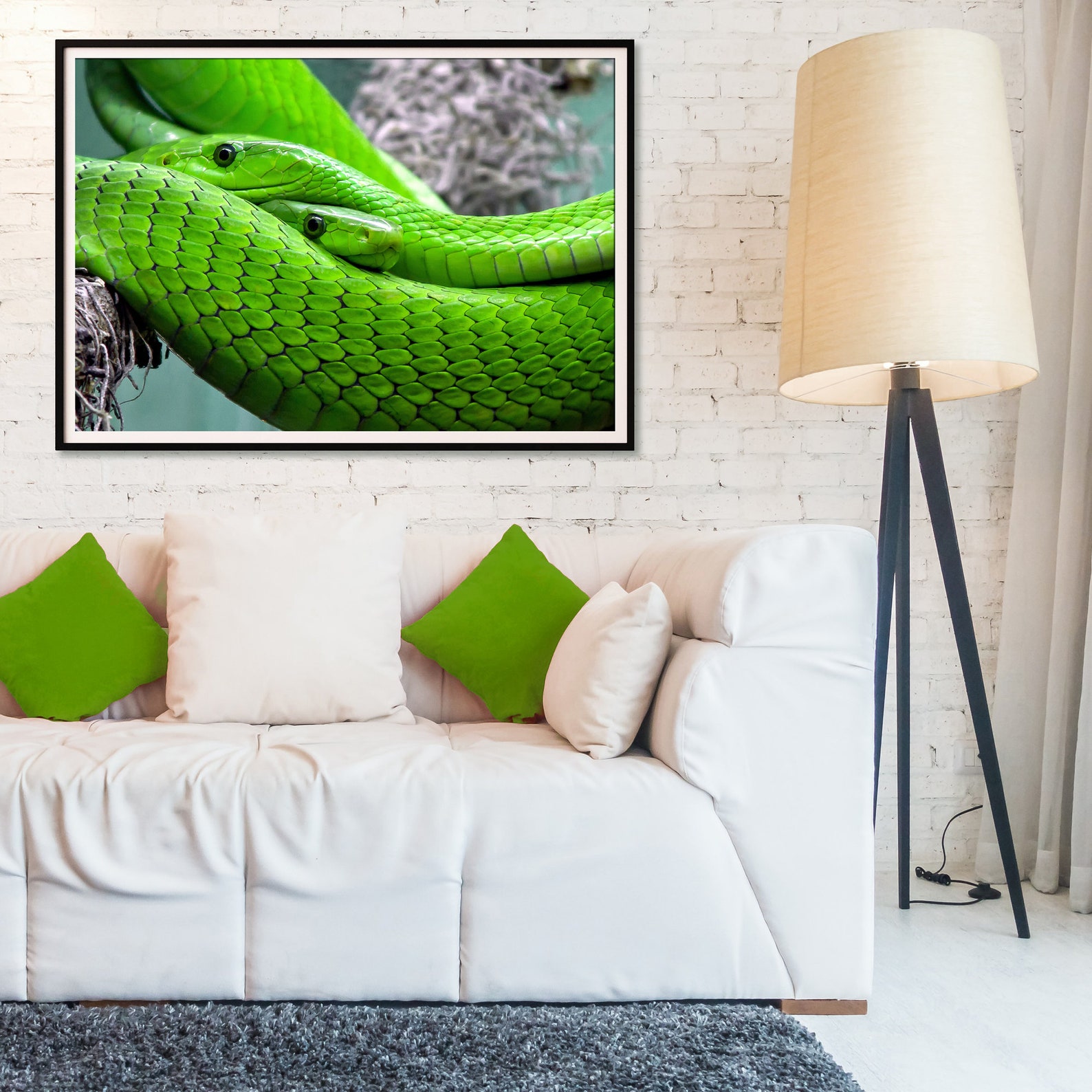 Snake Animal Digital Download Wall Art Print Printable Room Etsy