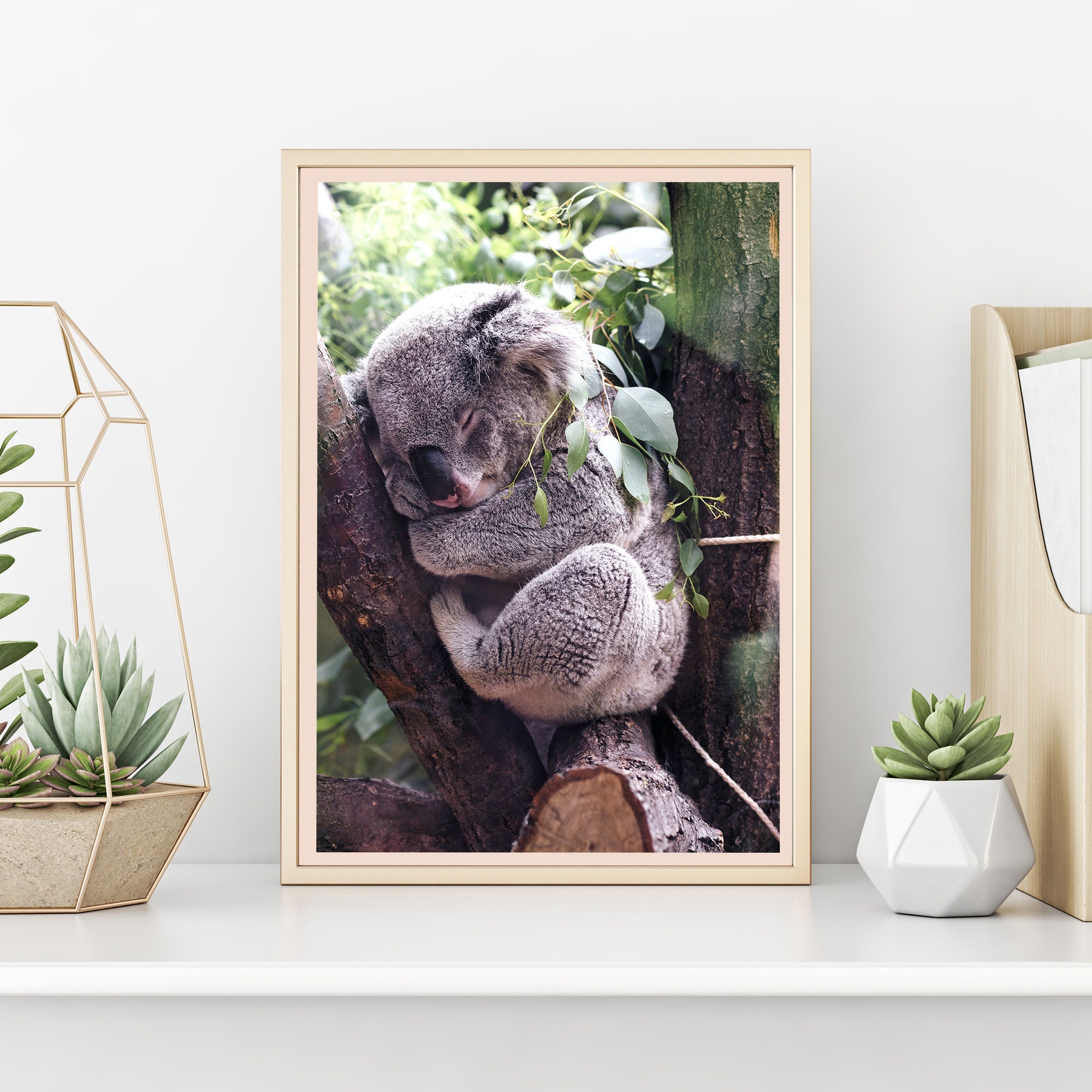 Koala Wild Animal Digital Download Wall Art Print Printable Room Large Poster Color Photo Office