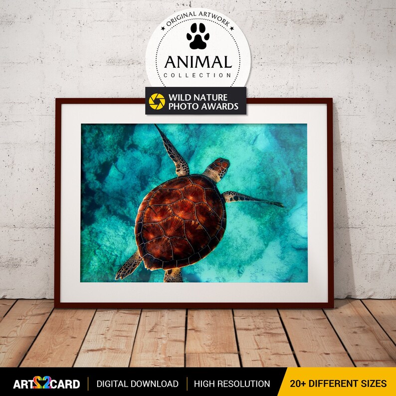 Sea Turtle Digital Download Wall Art Print Printable Room Large Poster ...