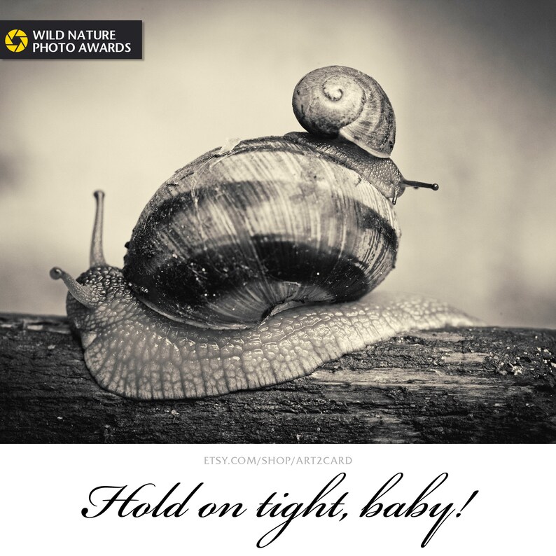 Snails Mom and Baby Nature Sepia Digital Download Wall Print Etsy