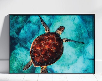 Sea Turtle Wall Art Print | Ocean Animal Print, Nursery Decor, Sea Turtle Poster, Kids Room Wall Decor